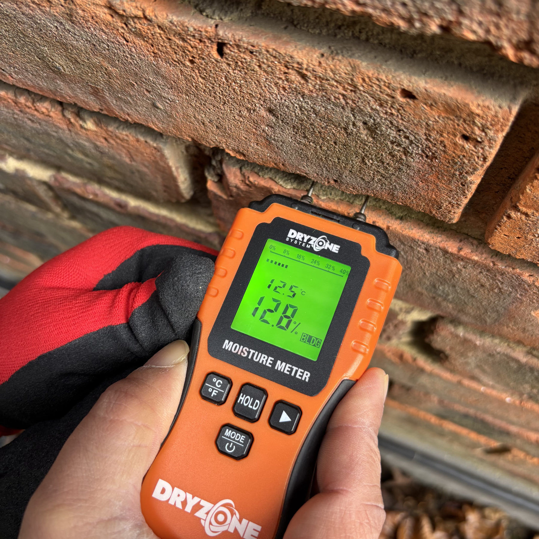 Henderson Wood surveyor taking moisture readings with a Dryzone meter during a damp survey