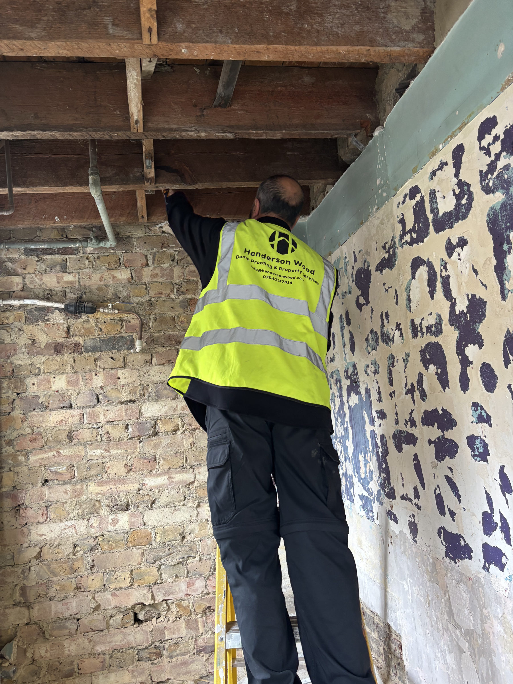 Henderson Wood surveyor inspecting exposed timber floor joists during a specialist timber survey